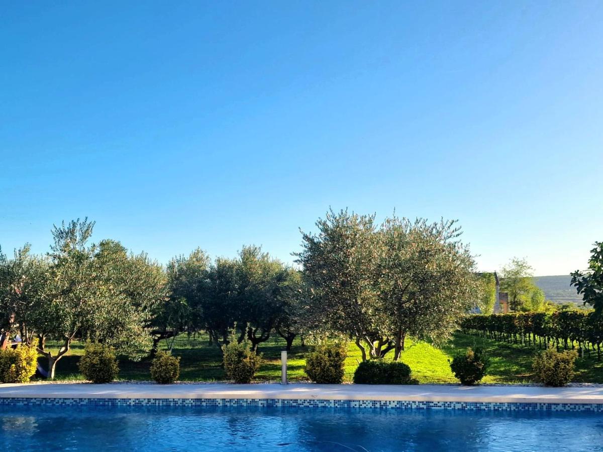Villa Lorema-Pet Friendly On 5000 Sqm Garden,Pool, Jacuzzi, Billiard&Ps5 Sveti Filip i Jakov Bagian luar foto