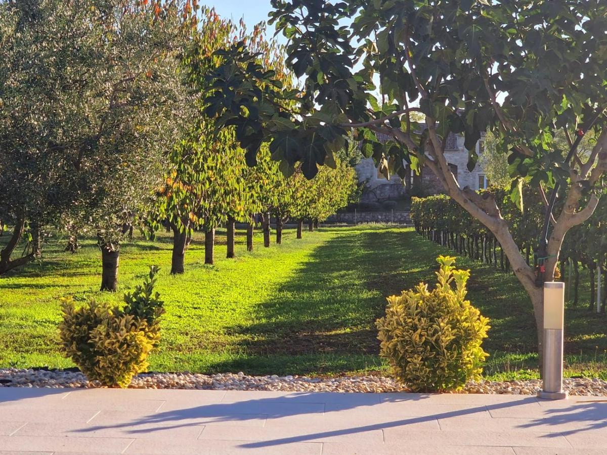 Villa Lorema-Pet Friendly On 5000 Sqm Garden,Pool, Jacuzzi, Billiard&Ps5 Sveti Filip i Jakov Bagian luar foto