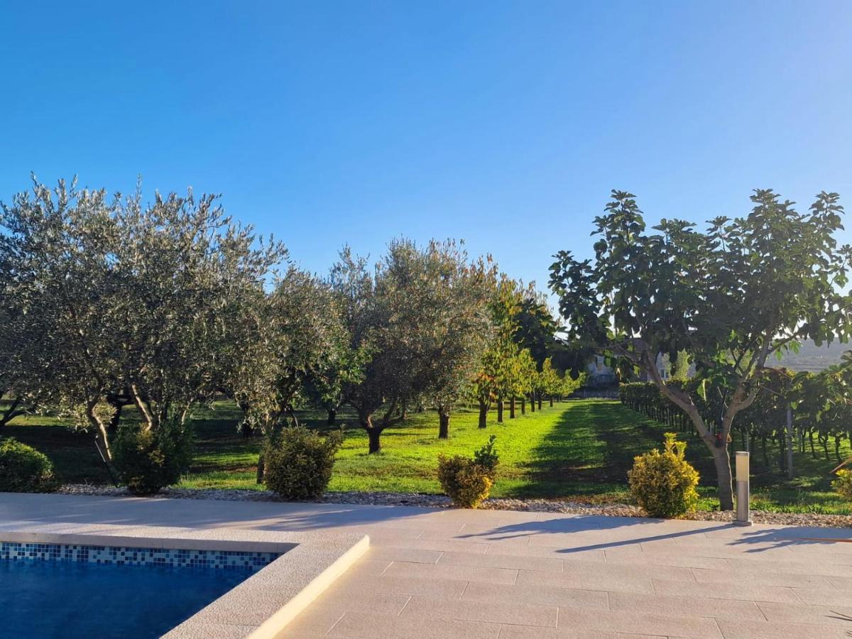 Villa Lorema-Pet Friendly On 5000 Sqm Garden,Pool, Jacuzzi, Billiard&Ps5 Sveti Filip i Jakov Bagian luar foto